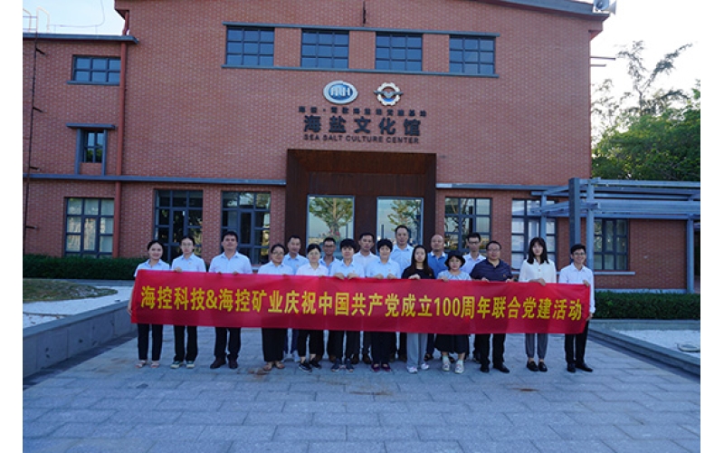 学习党史，，，，，思念先烈，，，，，传承精神——石岩党支部主题党日活动