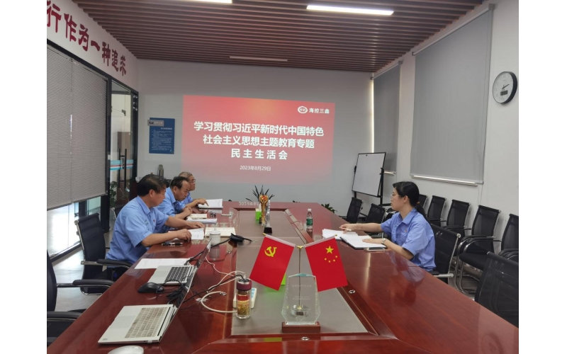 ？？厝蔚澄倏2023年主题教育专题民主生涯会